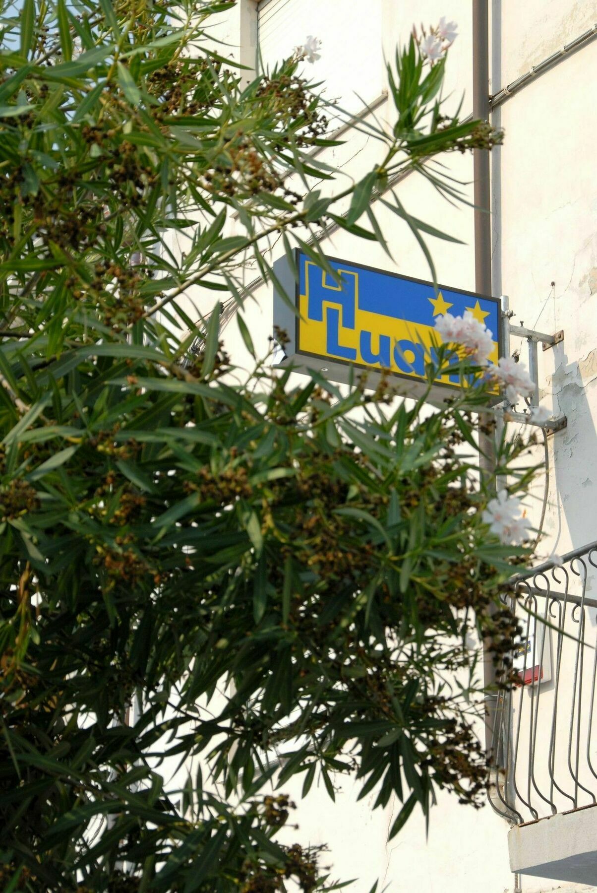 Luana Hotel Viareggio